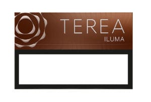 HEETS & TEREA Flavors: What is Trending in 2025